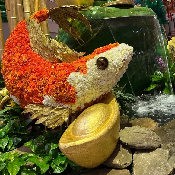 Clothes and shoes live show - Picture 1 of 1